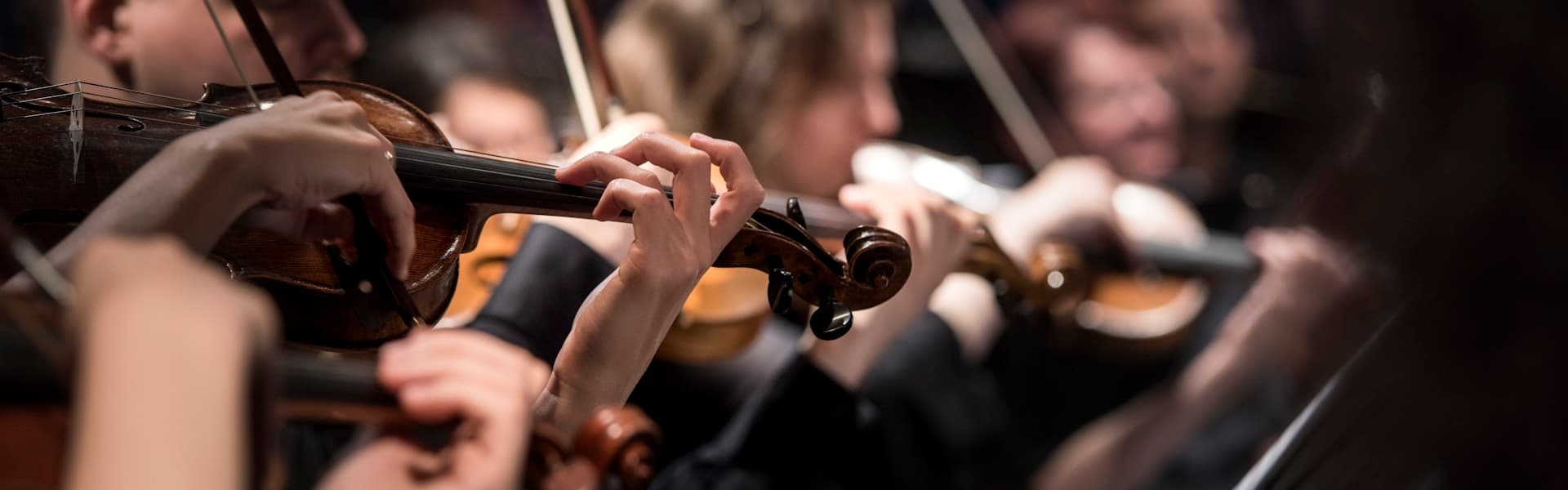 참가 요강 Header